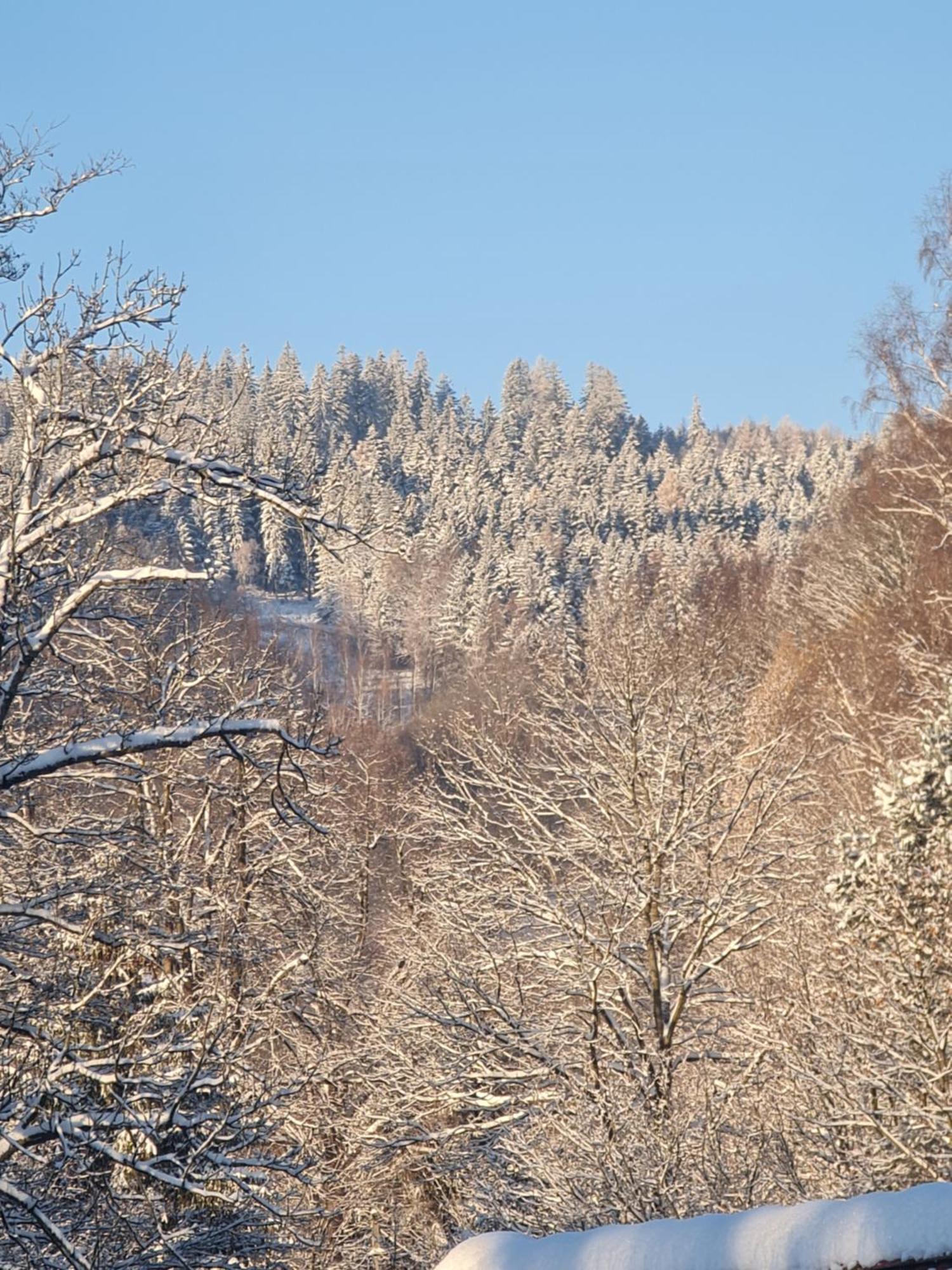 Sieraton Pokoje I Apartament Stronie Slaskie Luaran gambar