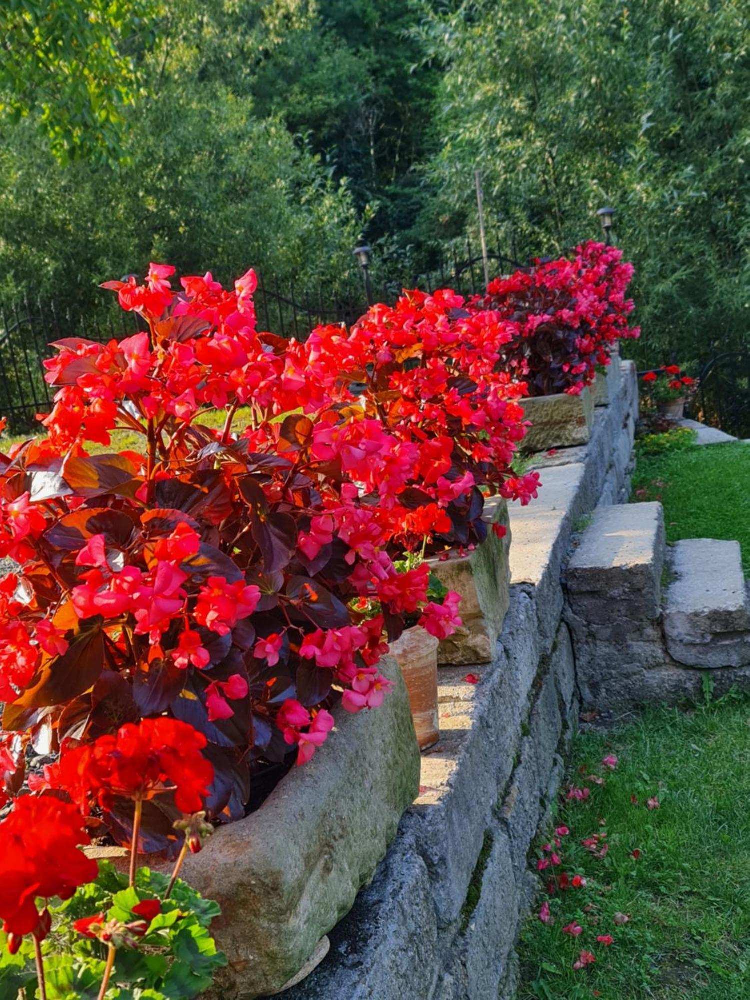 Sieraton Pokoje I Apartament Stronie Slaskie Luaran gambar